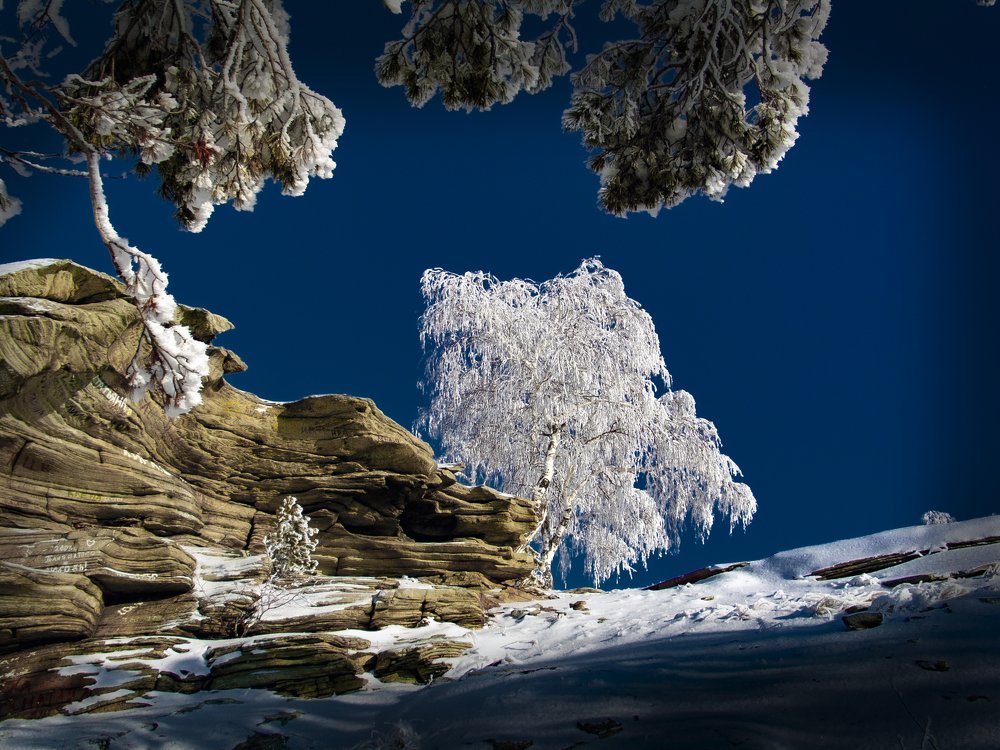 Photograph by петр чиков