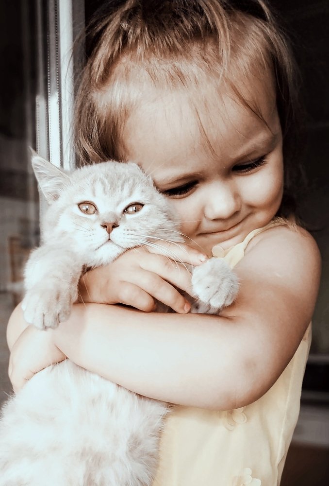 Photograph by Ольга Перевозчикова