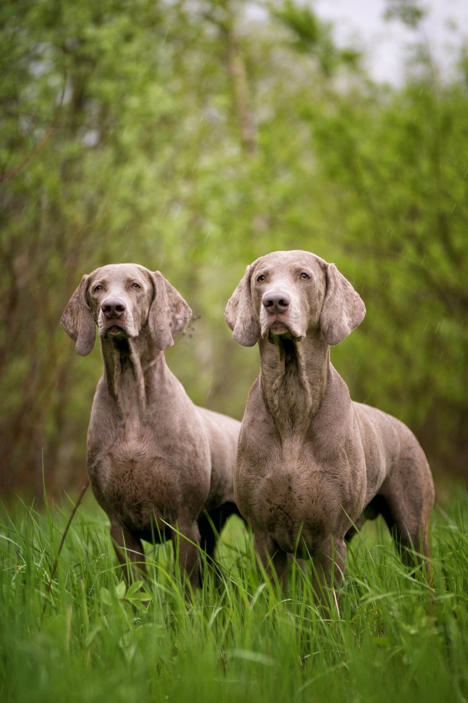 Photo #5038181