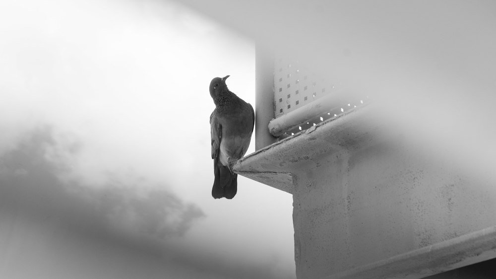 Photograph by никита риер