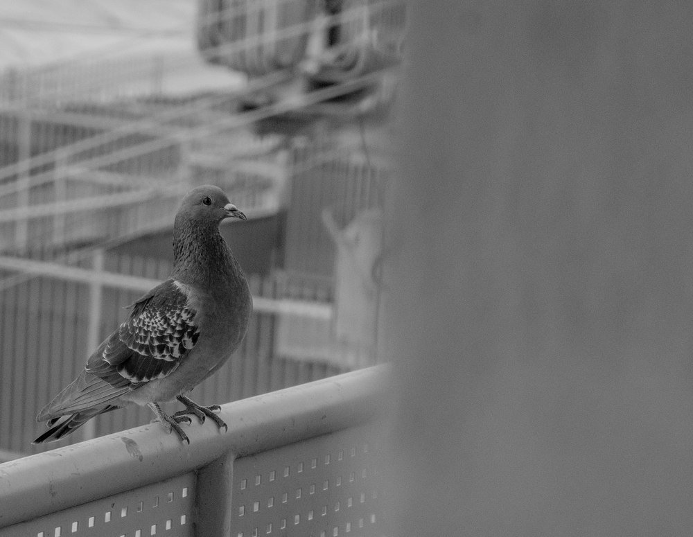 Photograph by никита риер