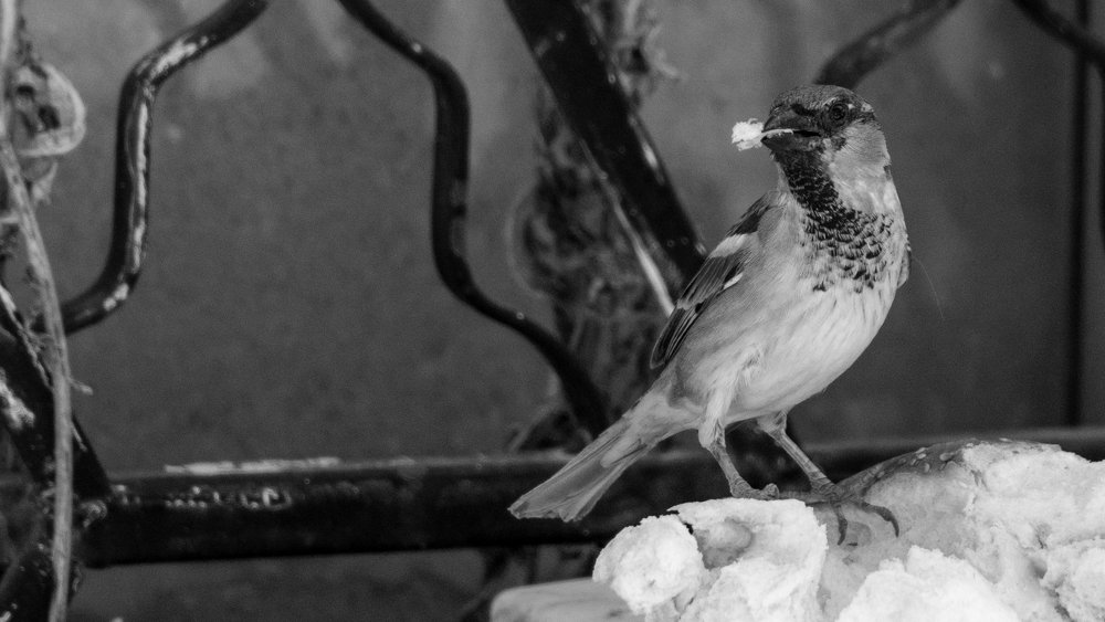 Photograph by никита риер