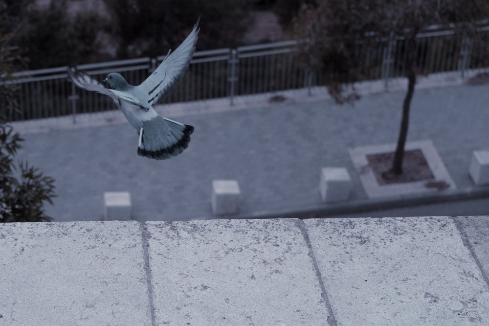 Photograph by никита риер