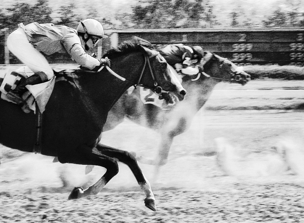 Фотография автора Елена Лаврова