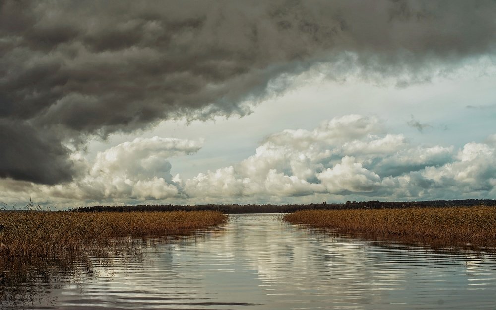 Photograph by Юлия Ильина