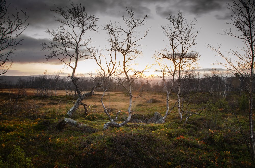 На рассвете