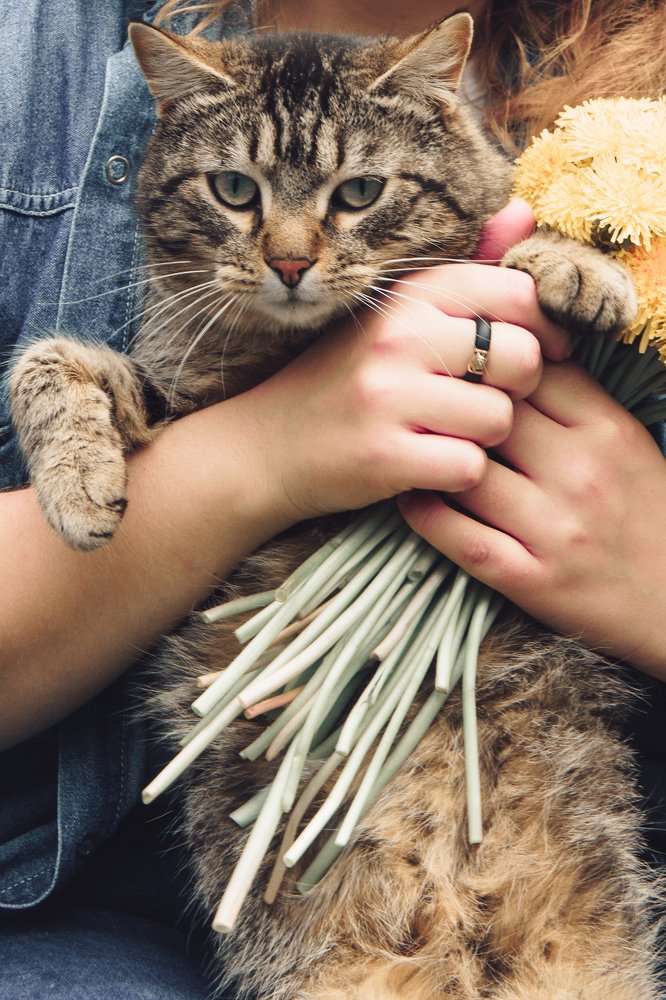 Photograph by Родионова Ксения