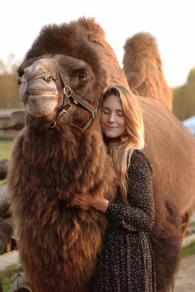 Photograph by Алина Вардиева