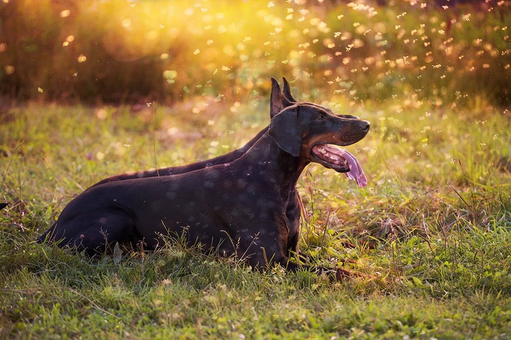 Photograph by Юлия Болдинова