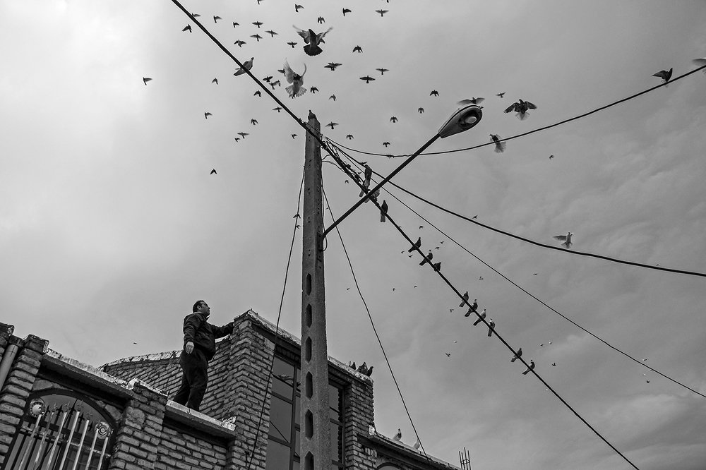 Photograph by amin Sharafiani