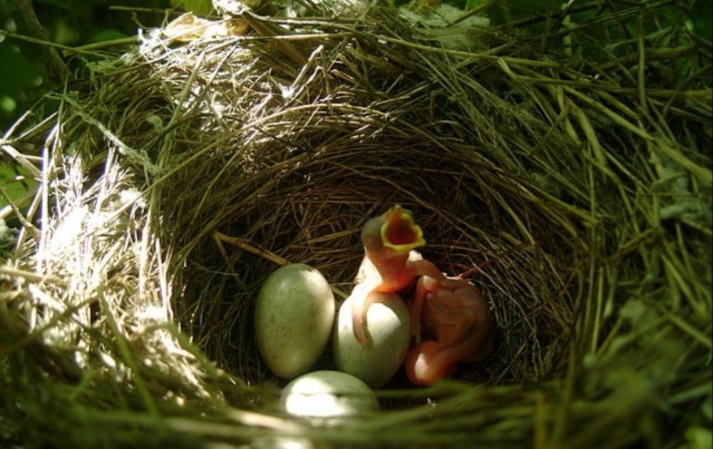 Photograph by Татьяна Козлова