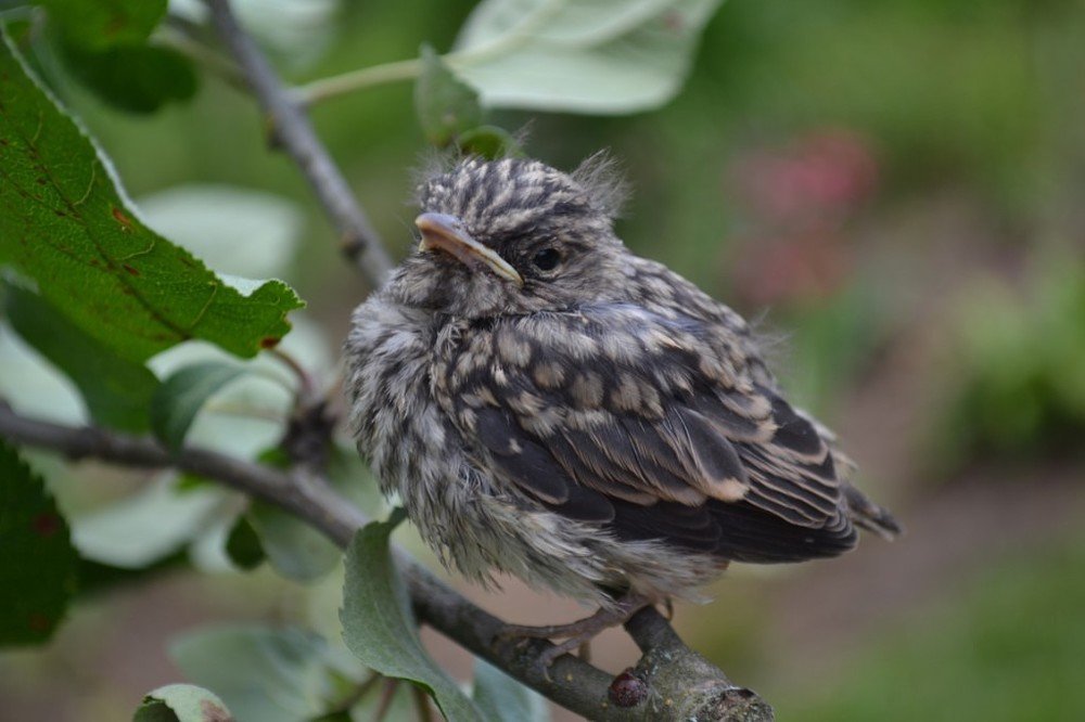 Photograph by Татьяна Козлова