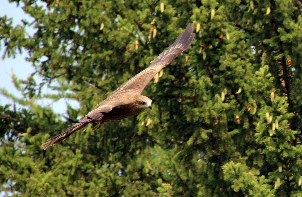 Photograph by Pavel Palkin