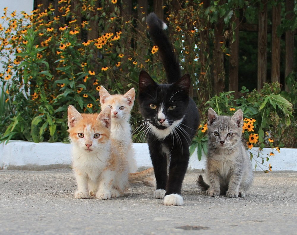 Photograph by Суетинов Евгений