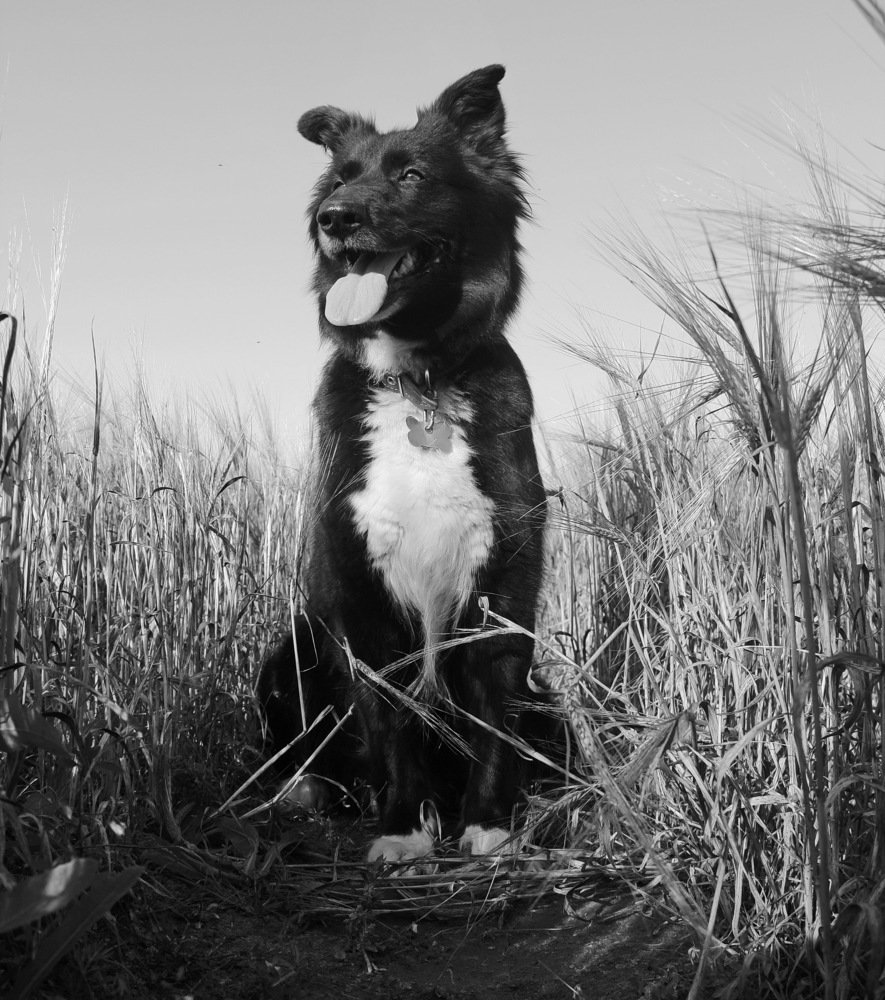 Photograph by Суетинов Евгений