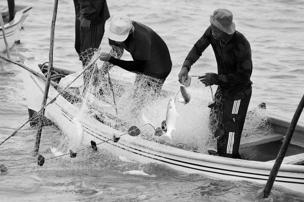 Photograph by Steeve DUBOIS