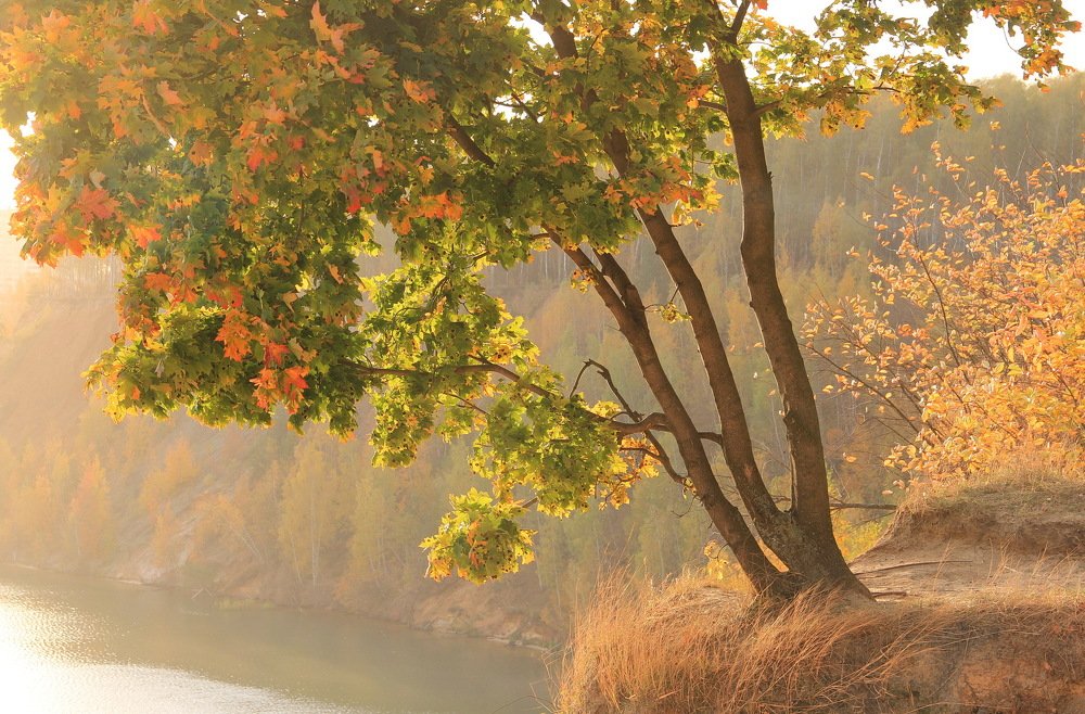 Photograph by Суетинов Евгений