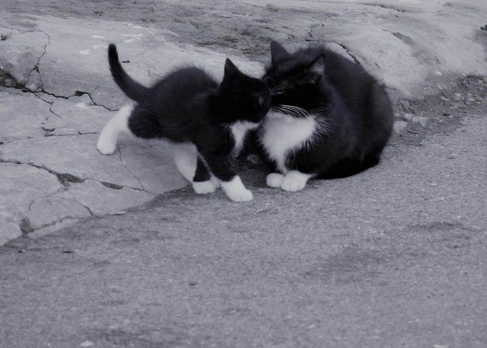 Photograph by Марина Игнатьева