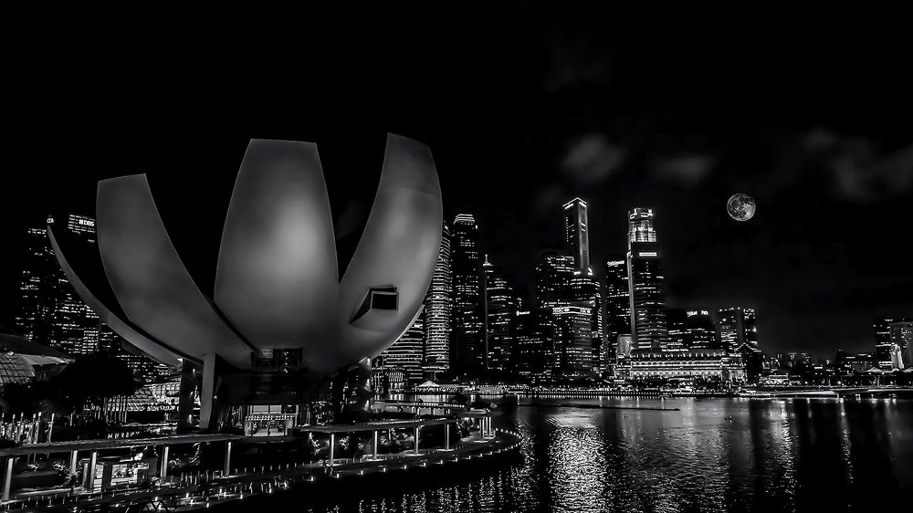 SINGAPORE IN MY DREAM