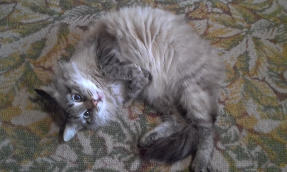 Photograph by Лида