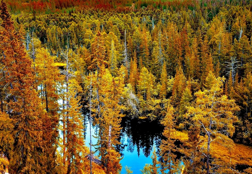 красоты осени