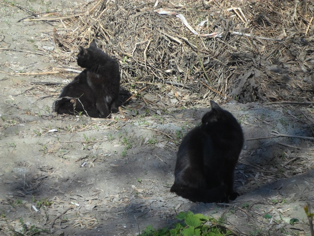 Photograph by Лида