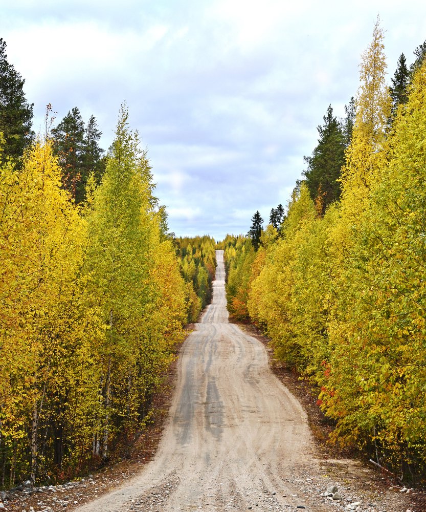 Photograph by Илья Сандлер