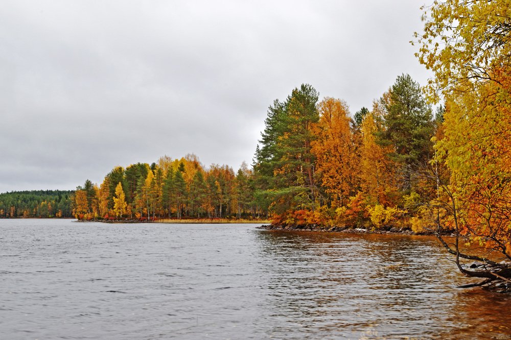 Photograph by Илья Сандлер