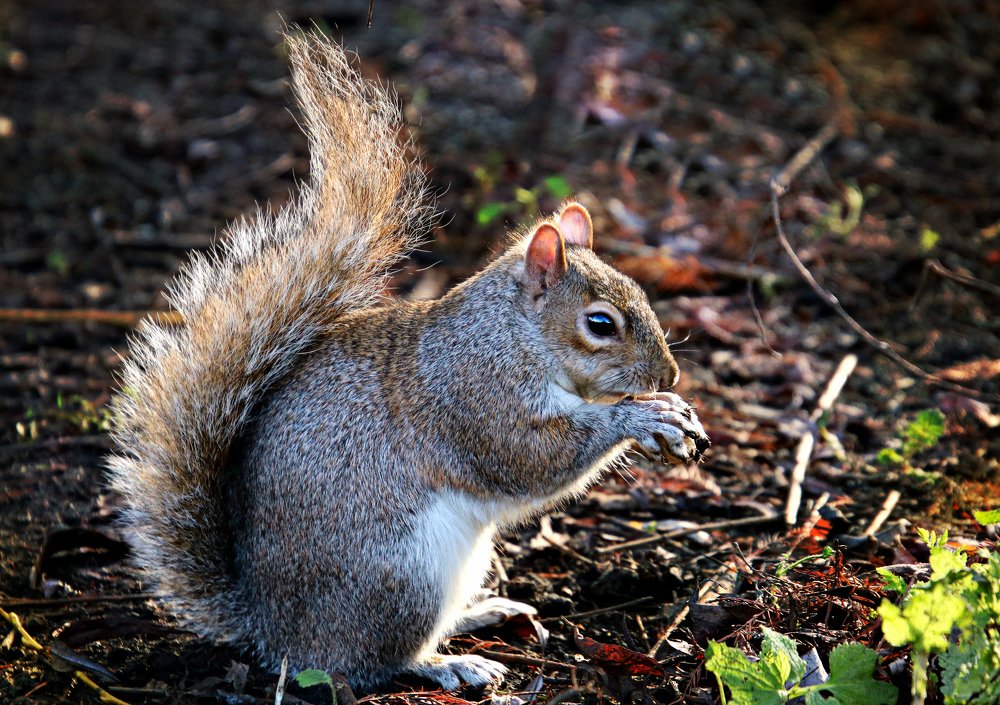 Photograph by Irina Radzinskaya