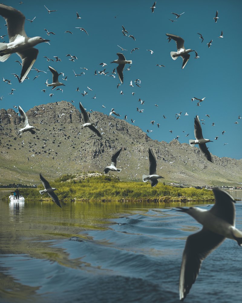 Photograph by iamrawareus Rawa reus