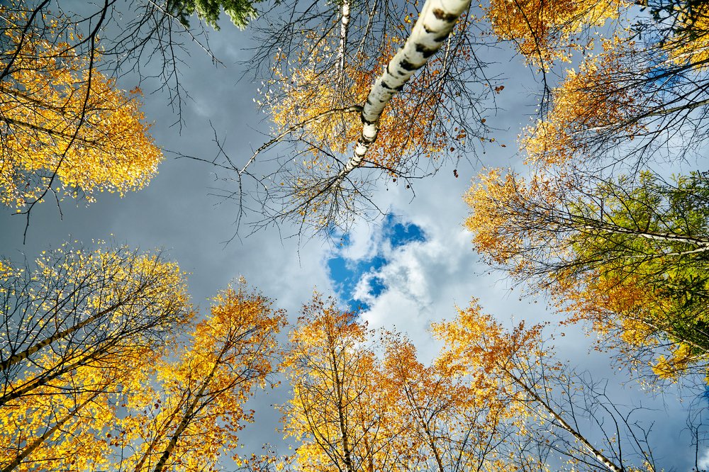 Photograph by Виктор Гершен