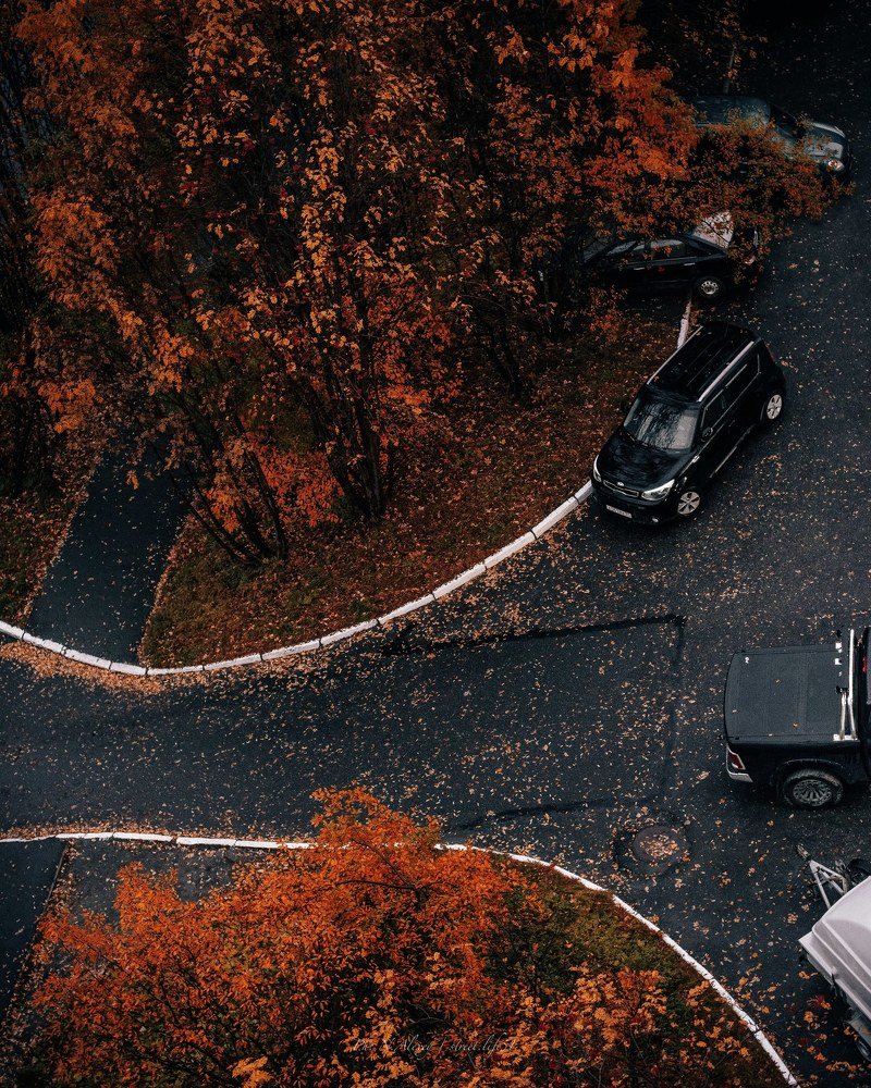 Photograph by Алексей Немчинов