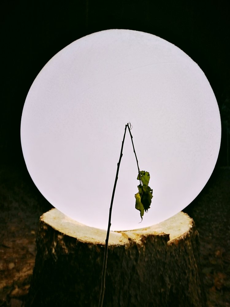 Photograph by Мария Утехина