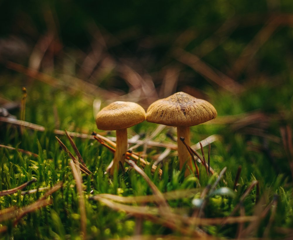 Photograph by Алексей