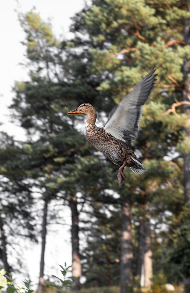 Photograph by Alena Shalai