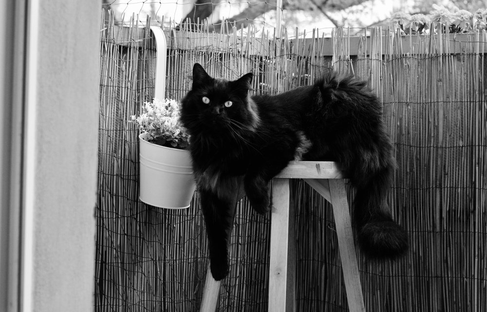 Фотография автора Kateryna Pronina