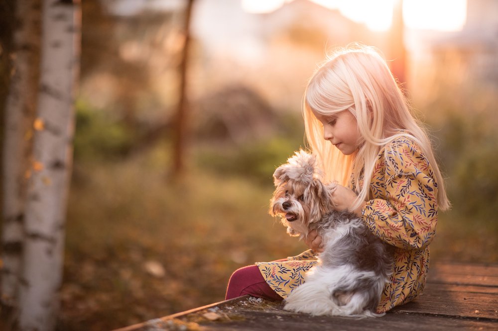 Малышка и Собачка