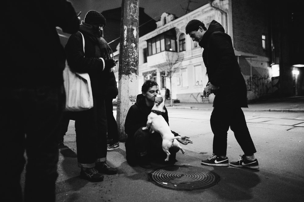 Photograph by Роберт Поляк