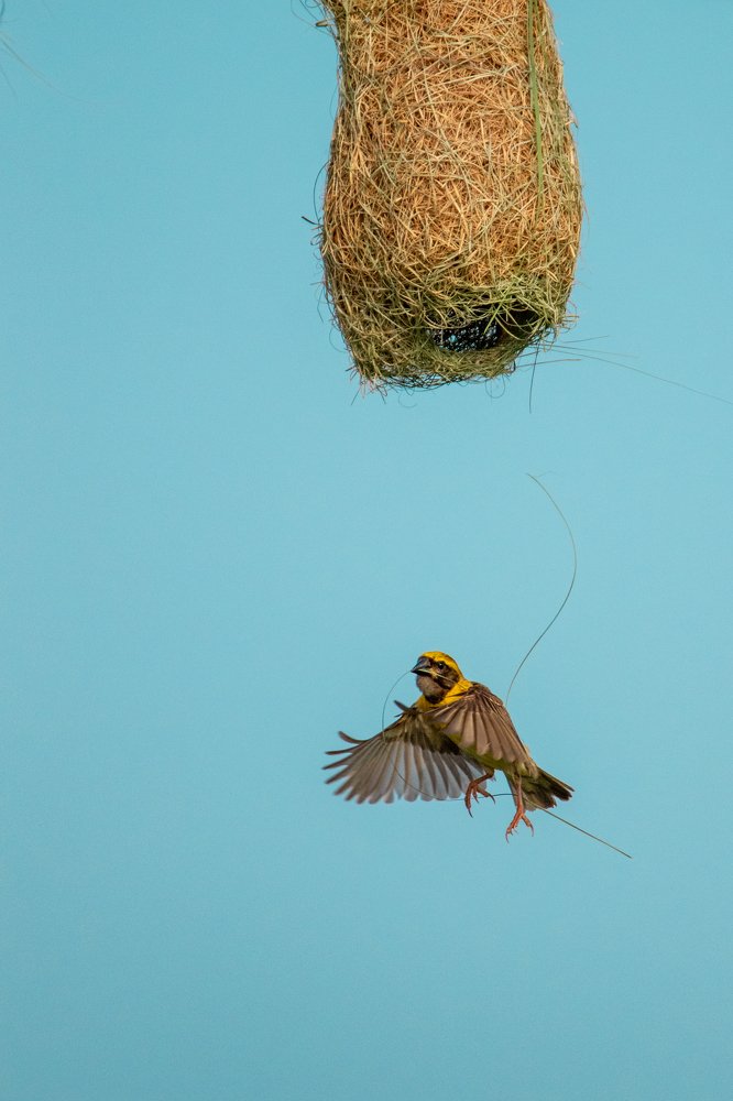 Photograph by JISHNUDEV PULINKUZHY
