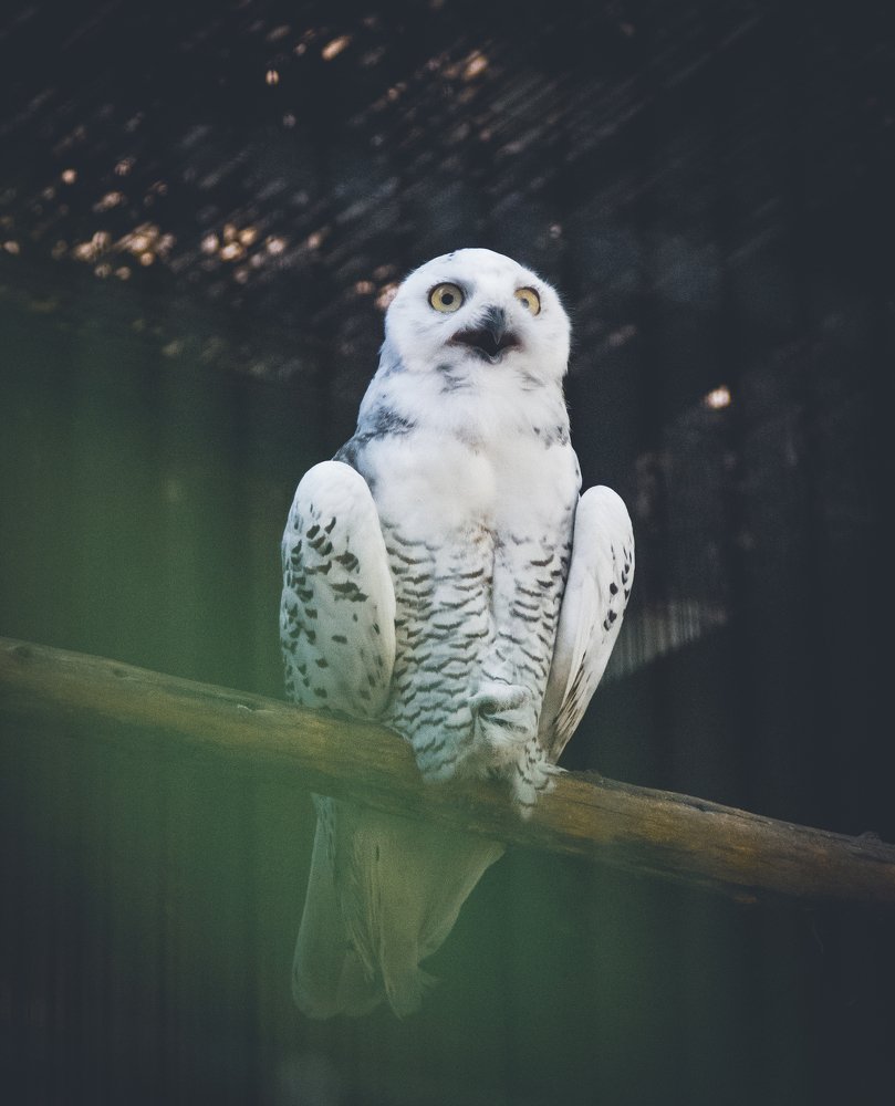 Photograph by Mefesto Decrus