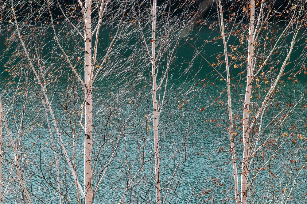 Photograph by Татьяна Егорова