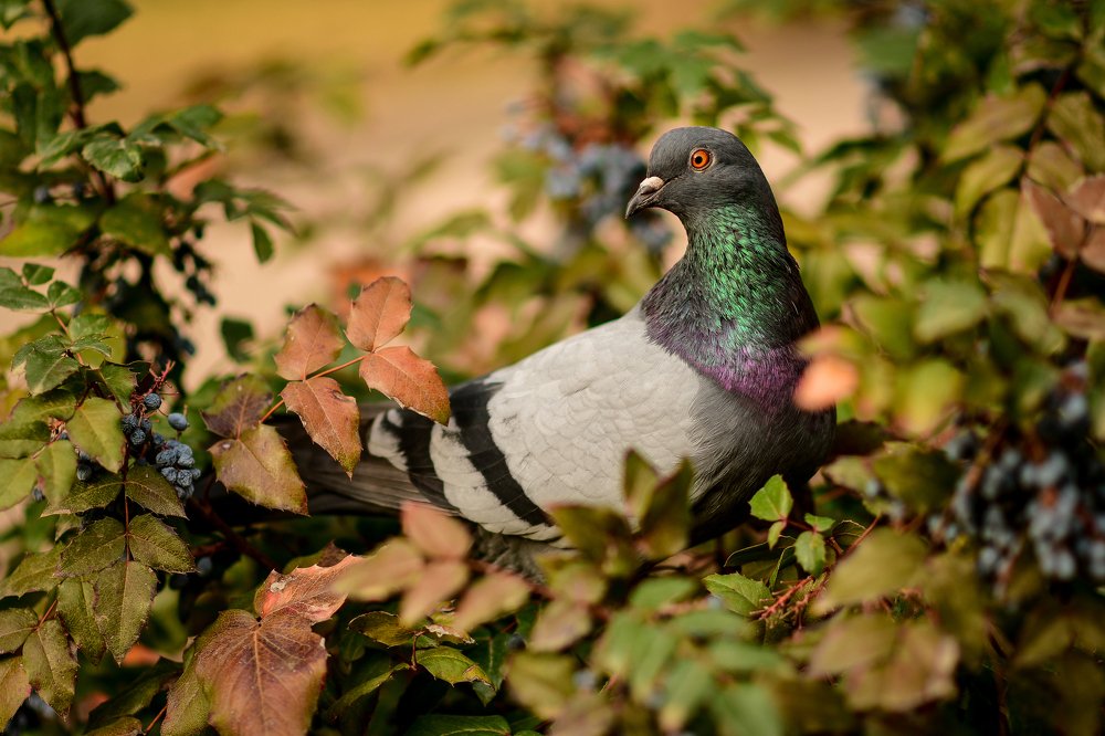 Photograph by Анастасия Донская