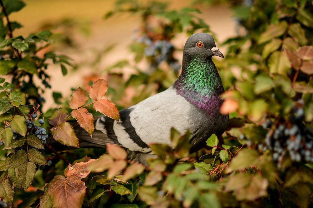 Photograph by Анастасия Донская