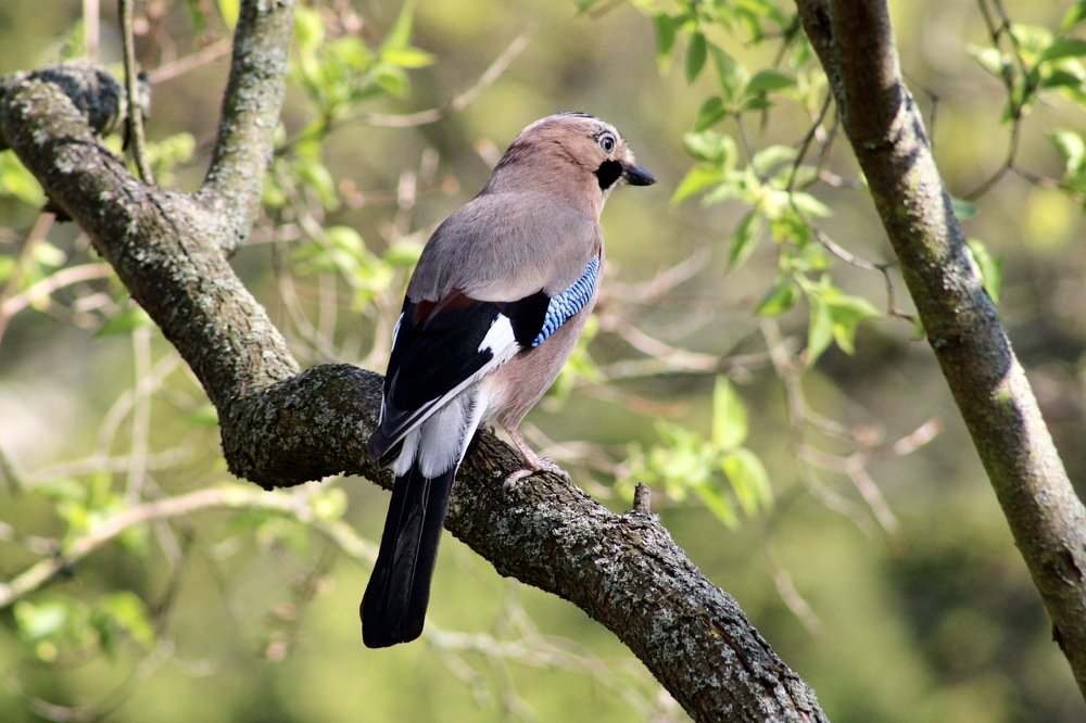 Фотография автора Kateryna Pronina