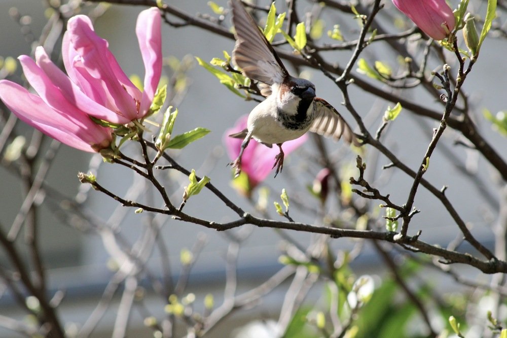 Фотография автора Kateryna Pronina