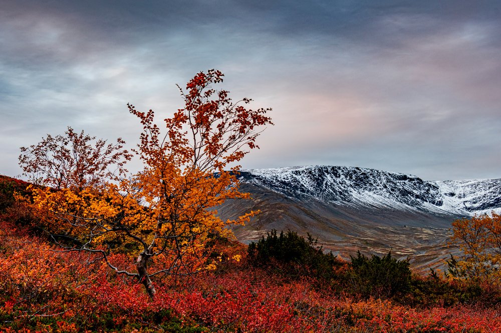 Осень в Хибинах