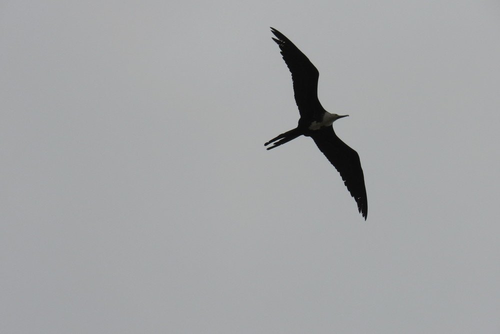 Photograph by Wan Moraez