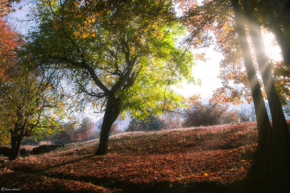 Photograph by Nima Almasi