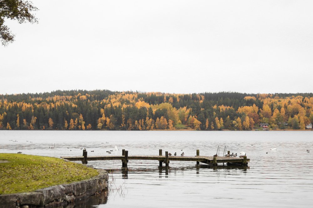 Photograph by Alena Shalai