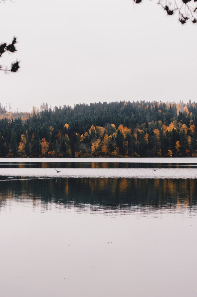 Photograph by Alena Shalai